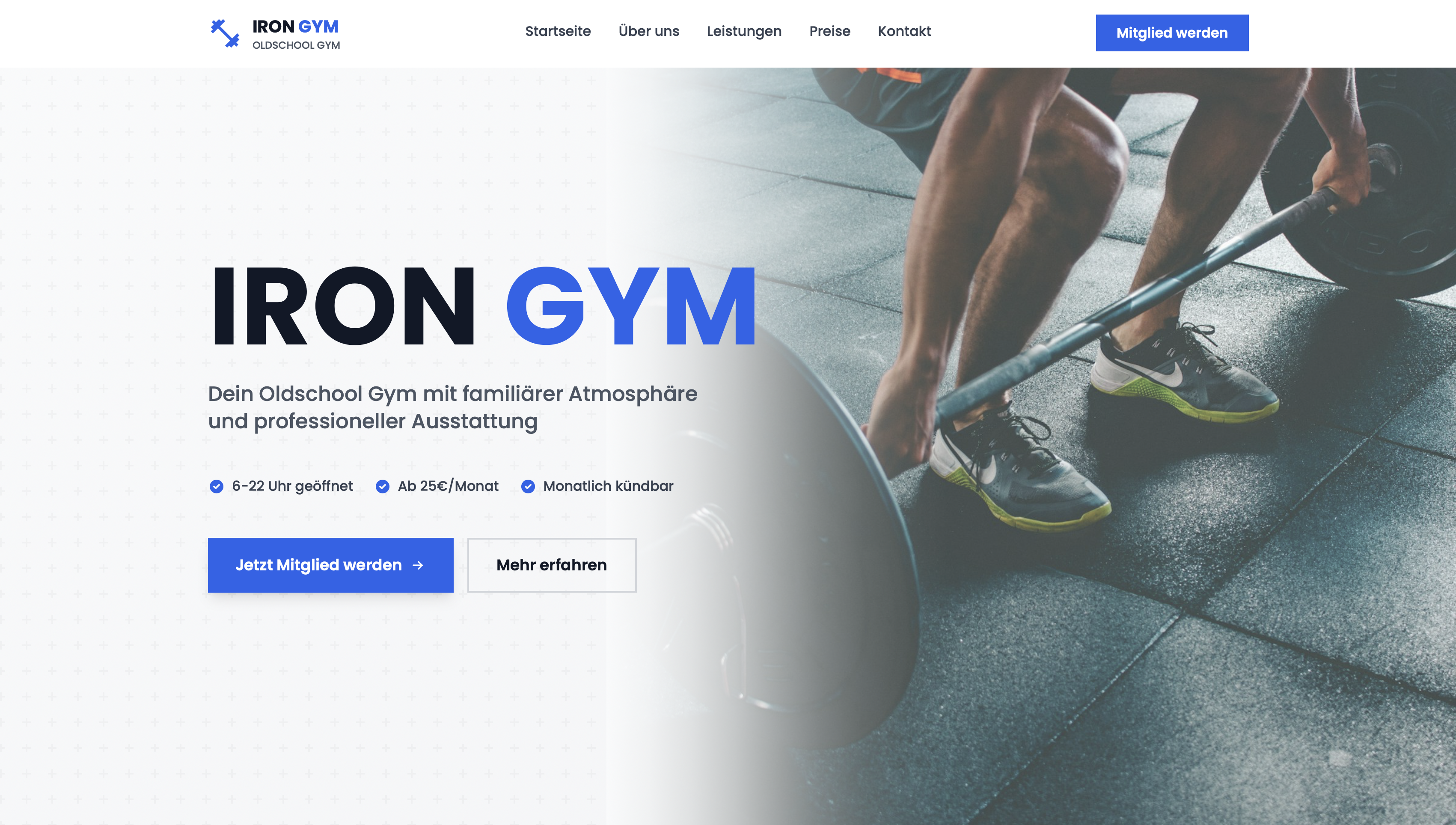 Fitness Website Preview